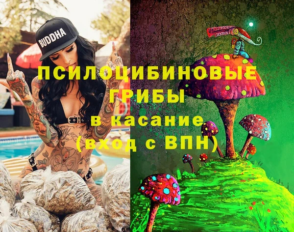 дживик Алексин