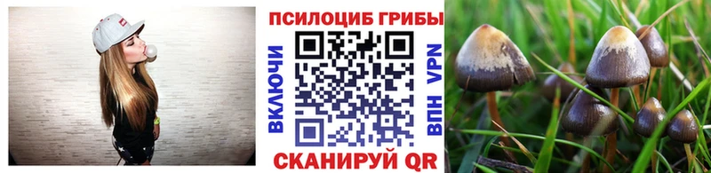 маркетплейс состав  Козловка  Галлюциногенные грибы Psilocybe 